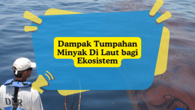 Dampak Tumpahan Minyak Di Laut