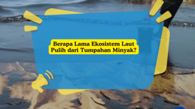 Berapa Lama Ekosistem Laut Pulih dari Tumpahan Minyak